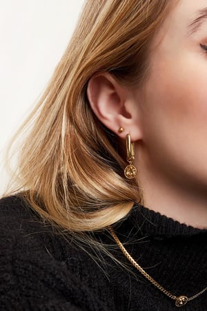 Earrings rose Gold Color Stainless Steel h5 Picture3